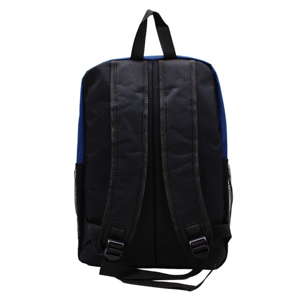bpah_back