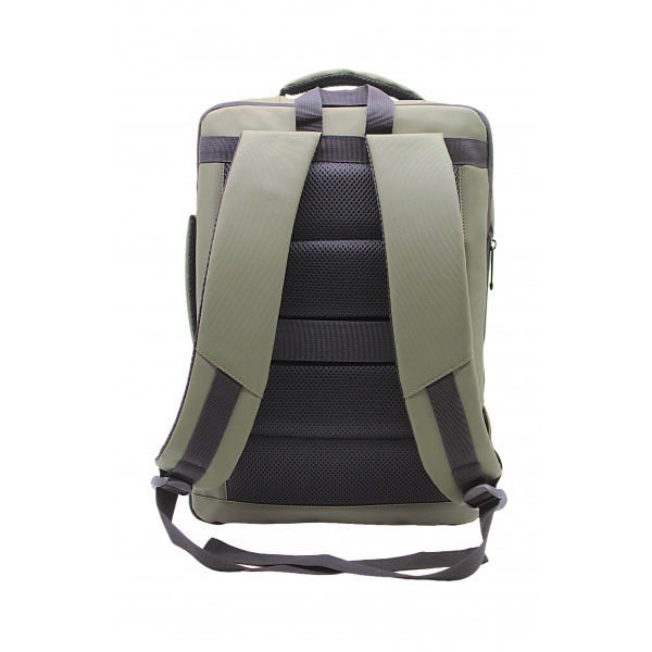 lt33_back